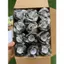 Hộp 24 cuộn (5cm) Băng Keo Thể Thao Cao Su Non Cuốn Cổ Tay, Cổ Chân, Đầu Gối Tránh Chấn Thương