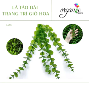 LÁ TÁO GIẢ - LÁ TÁO DÀI TRANG TRÍ GIỎ HOA/ GIỎ QUÀ