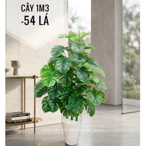 CÂY GIẢ - CÂY TRẦU BÀ LÁ XẺ 1m3 54 lá