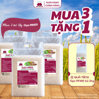 [DATE MỚI]Combo 3Túi Gạo Sạch Hữu Cơ MN66 Ngon Cơm,Dẻo Vừa,Mềm Cơm,Hỗ Trợ Tiêu Hóa,Không Chất Bảo Quản,Gạo Quê (Túi 5kg)