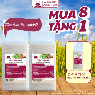 [DATE MỚI]Combo 8Túi Gạo Sạch Hữu Cơ MN66 Ngon Cơm,Dẻo Vừa,Mềm Cơm,Hỗ Trợ Tiêu Hóa,Không Chất Bảo Quản,Gạo Quê (Túi 2kg)