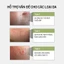 Sample Tinh Chất Rau Má Arocell Làm Dịu Da Nhanh Chóng Phục Hồi Cica Repair Panthenol Ampoule 1ml
