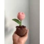 Quà tặng chậu hoa len mini (1 bông) handmade sản phẩm thủ công chậu hoa handmade #handmade