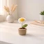 Quà tặng chậu hoa len mini (1 bông) handmade sản phẩm thủ công chậu hoa handmade #handmade