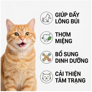 Bánh thưởng cho mèo 200g x 3 Loại - Giúp Thải Lông, Giảm Búi Lông, Hỗ Trợ Tiêu Hóa