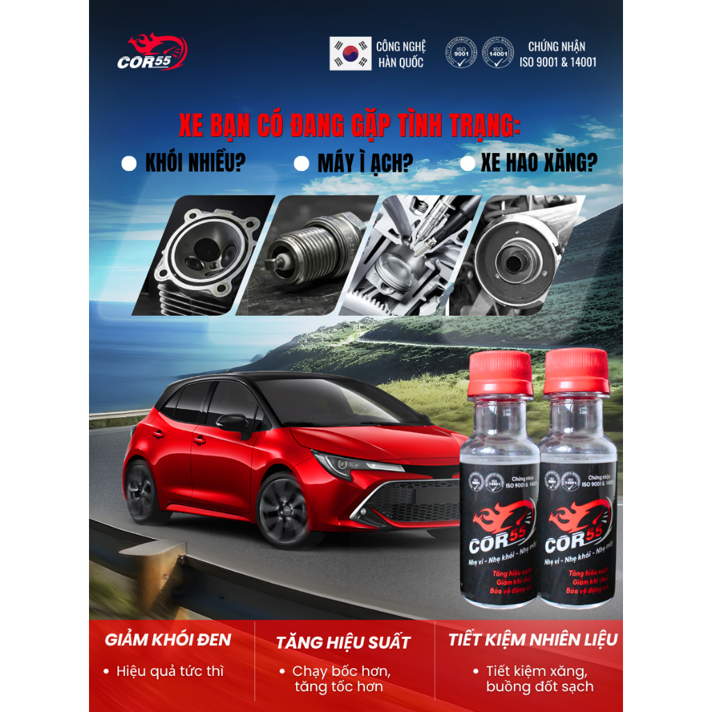 Vệ Sinh Kim Phun, Buồng Đốt | Tiết kiệm Nhiên Liệu | Giảm Khói (Cho Xăng E10.E5 & Dầu  Diesel)