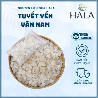 Túi 200g - 500g Tuyết Yến Vân Nam Loại Ngon Chuyên Nấu Chè, Dưỡng Nha, Bồi Bổ - HALA