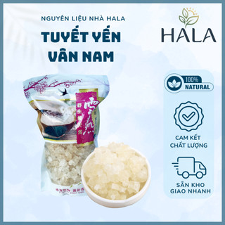 Túi 200g - 500g Tuyết Yến Vân Nam Loại Ngon Chuyên Nấu Chè, Dưỡng Nha, Bồi Bổ - HALA