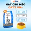 Hạt Cat's On+ Cho Mèo, Hỗ Trợ Sức Khỏe Bổ Sung Chất Dinh Dưỡng Cho Mèo Mọi Lứa Tuổi