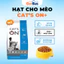 Hạt Cat's On+ Cho Mèo, Tăng Cường Chất Lượng Bổ Sung Dinh Dưỡng Cho Mèo Mọi Lứa Tuổi