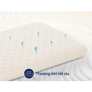 🏅LIÊN Á CHÍNH HÃNG🏅Gối Nằm Cao Su Thiên Nhiên Cho Bé Sơ Sinh Êm Ái, Đàn Hồi - Hàng Cao Cấp