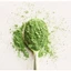 Bột matcha hương nhài Imotech 100g/Uống Là Mê
