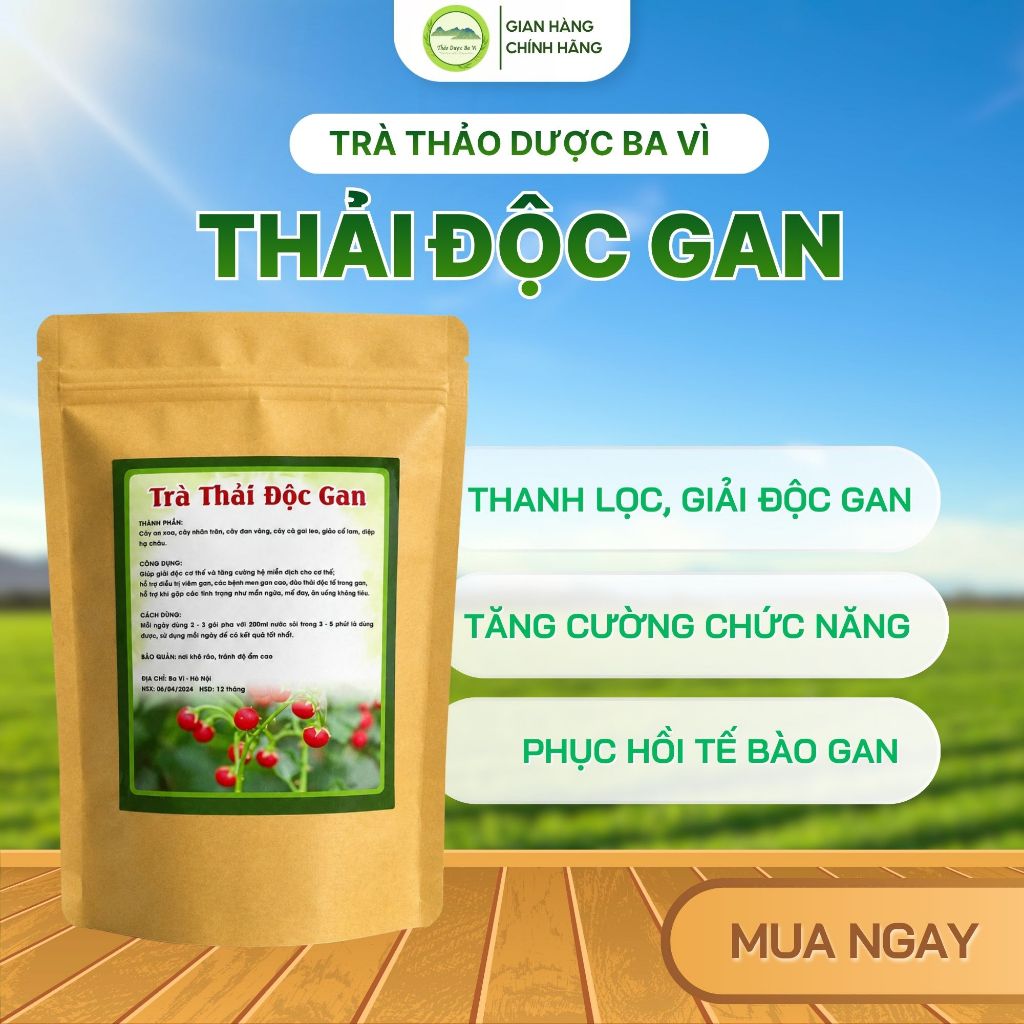 Trà Túi Lọc Thải Độc Gan Thanh Lọc Cơ Thể Trà Thảo Dược Hỗ Trợ Giảm Tình Trạng Gan Nhiễm Mỡ