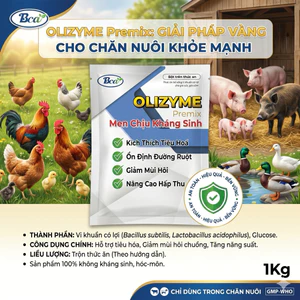 men tiêu hoá gói 1kg cho vật nuôi thú cưng