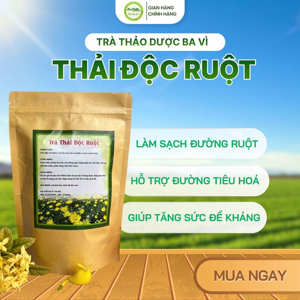 Trà Túi Lọc Thải Độc Ruột Thảo Mộc Dân Gian Hỗ Trợ Tiêu Hóa Giảm Táo Bón Thanh Lọc Cơ Thể