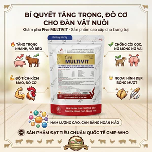 multivit - Tăng Trọng