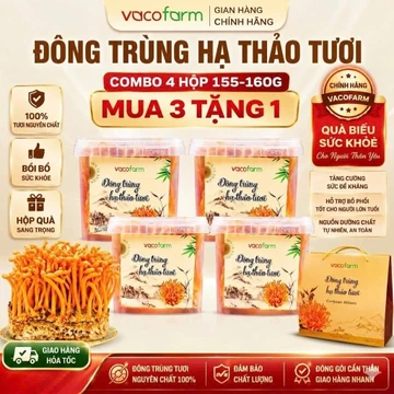 COMBO 4 Hộp Đông Trùng Hạ Thảo Tươi Vacofarm 150g-160G, đông trùng hạ thảo chính hãng, Quà Tặng Sức Khỏe, pha trà