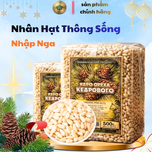Nhân hạt thông sống nhập khẩu giàu chất dinh dưỡng dùng để say bột cho bé chế biến thực phẩm tốt