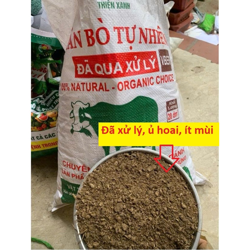 Phân Bò Khô Ủ Hoai Đã Xử Lý, Ít Mùi, Sạch – Phân Hữu Cơ Cải Tạo Đất, Giúp Cây Khỏe & Xanh Tốt (Bao 20dm3 khoảng 4-5kg)
