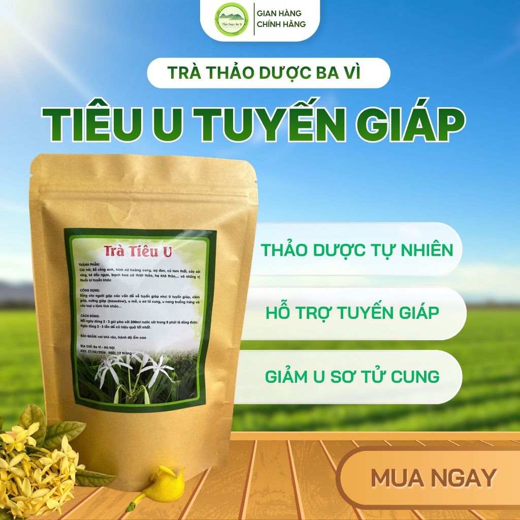 Trà Thảo Dược Hỗ Trợ Bướu Cổ - Tuyến Giáp Cao Cấp- Thảo Dược Ba Vì