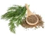Hạt thì là (Cumin) 40g/Uống là mê