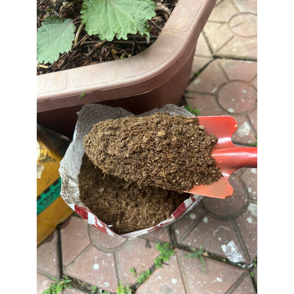 Phân bò nguyên chất đã xử lý ủ hoai mục gói nhỏ 3dm3 trộn đất trồng rau sạch, trồng hoa cảnh, hoa hồng hoa lan