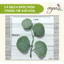 LÁ GIẢ BẠCH ĐÀN TRÒN TRANG TRÍ GIỎ HOA – PHỤ KIỆN DECOR