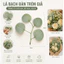 LÁ GIẢ BẠCH ĐÀN TRÒN TRANG TRÍ GIỎ HOA – PHỤ KIỆN DECOR