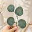 LÁ GIẢ BẠCH ĐÀN TRÒN TRANG TRÍ GIỎ HOA – PHỤ KIỆN DECOR