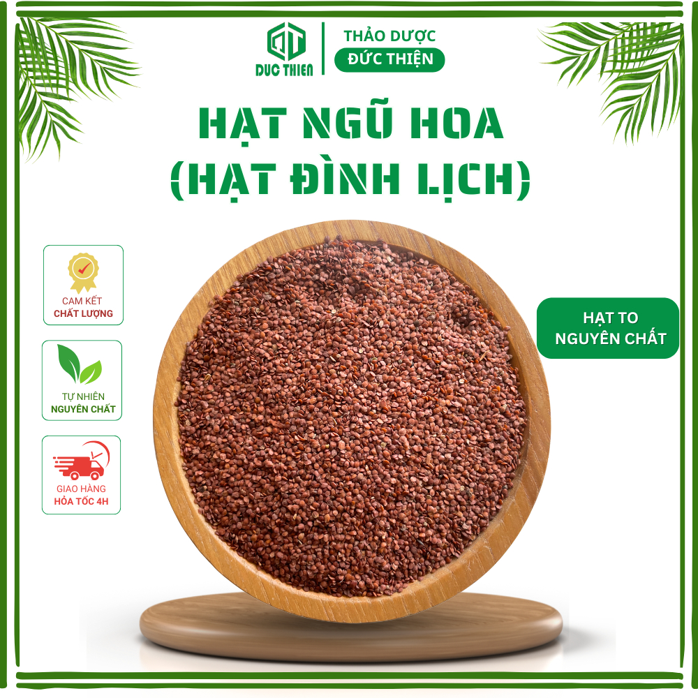 Hạt Ngũ Hoa Loại 1 Đức Thiện (Khô, Sạch, Thơm) - Hỗ Trợ M.u.n, Tàn Nhan, Làm Đẹp, Spa Tin Dùng