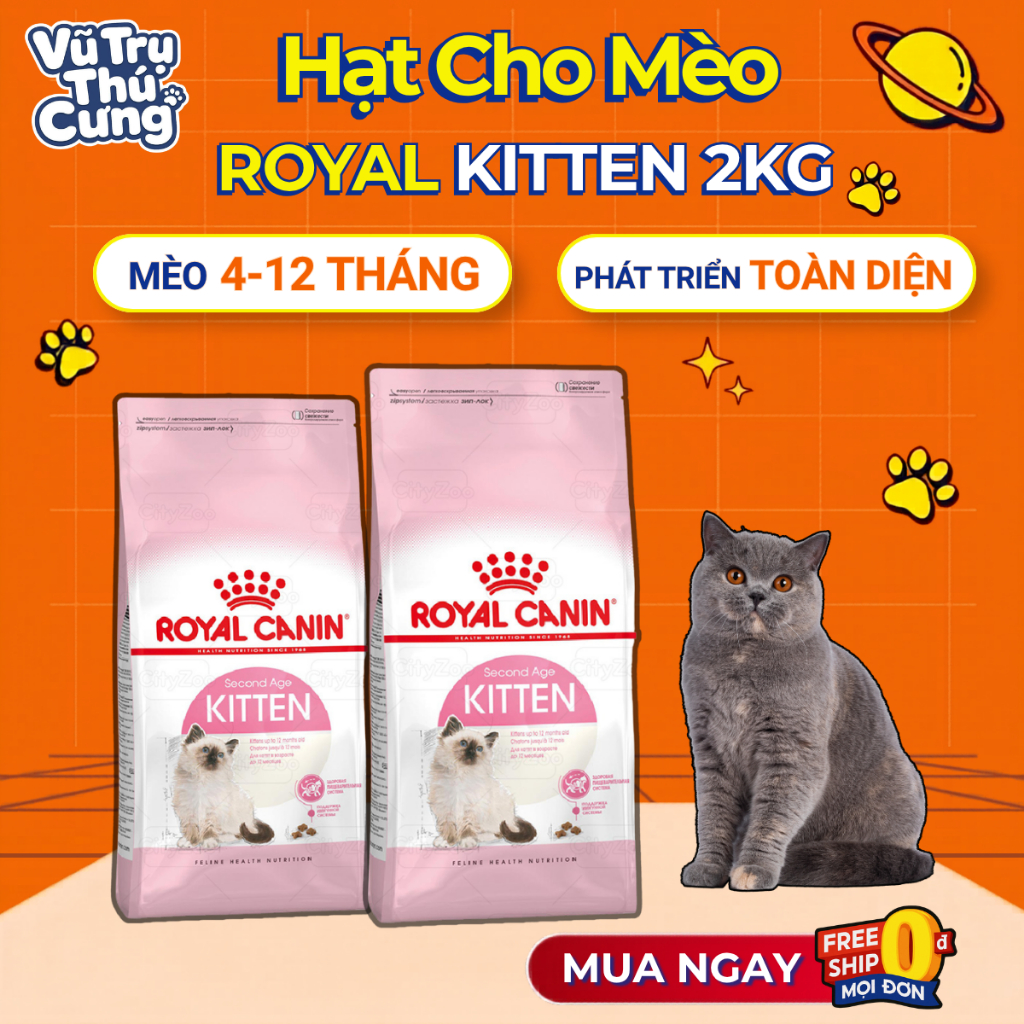 Thức Ăn Hạt Cho Mèo Con Royal Canin Kitten