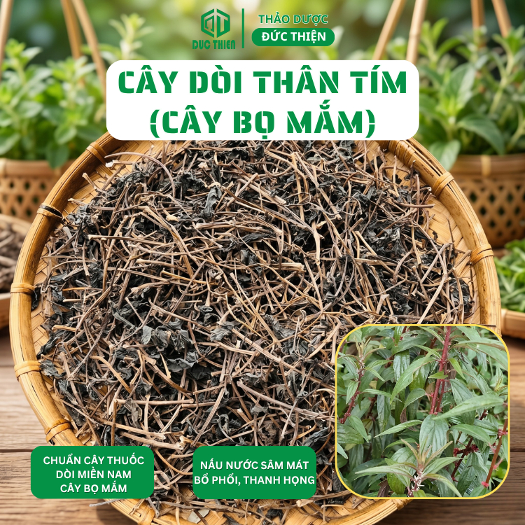 500g Cây Dòi Thân Tím, Thuốc Dòi (Bọ Mắm) Loại 1 (Khô, Sạch, Thơm) - Trừ Ho, Giảm Đau Họng, Nước Mát