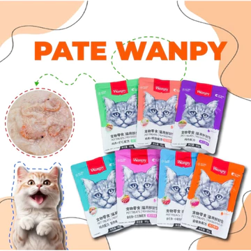 (Hoả Tốc) COMBO 5-10 Gói Pate wanpy 80g cho mèo, pate mèo wanpy gói 80g cung cấp dinh dưỡng cho mèo biếng ăn