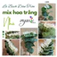 LÁ BẠCH ĐÀN TRÒN GIẢ MIX HOA TRẮNG TRANG TRÍ GIỎ HOA