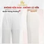 Quần Bảo Hộ Mặc Váy Đúc Su Co Giãn, Quần Boxer Nữ Đáy May Kháng Khuẩn AMYBRA V6897
