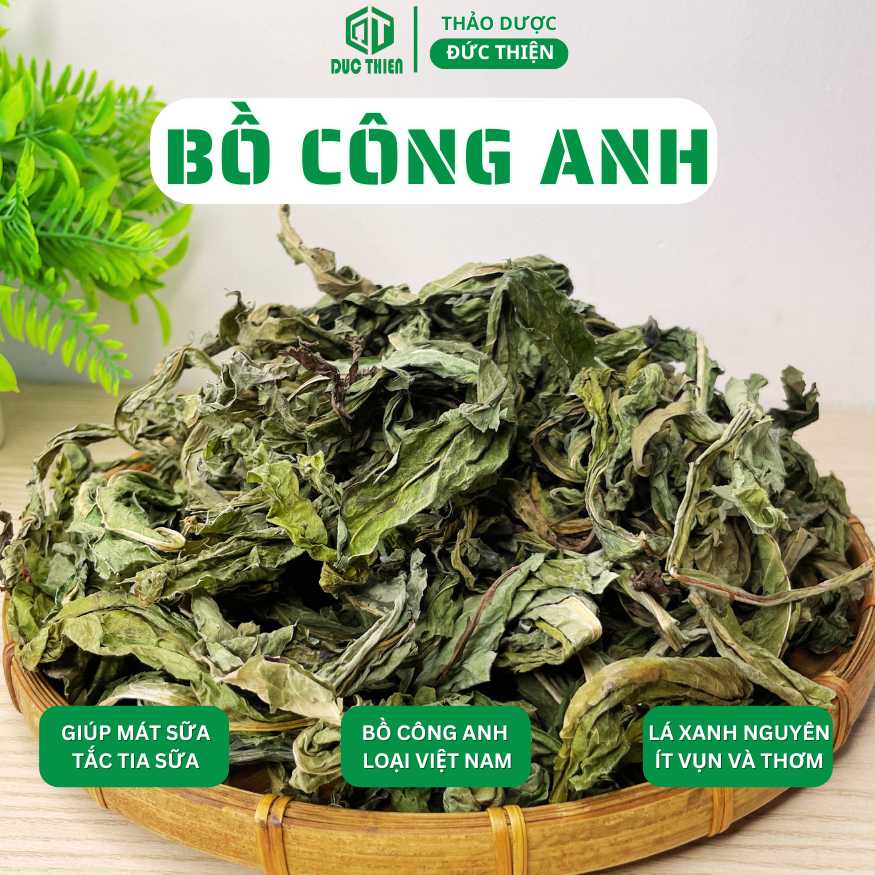 500g, 1kg Bồ Công Anh Loại 1 Đức Thiện (Khô, Sạch, Thơm) - Thanh Nhiệt, Giải Độc, Giảm Cân, Mát Sữa