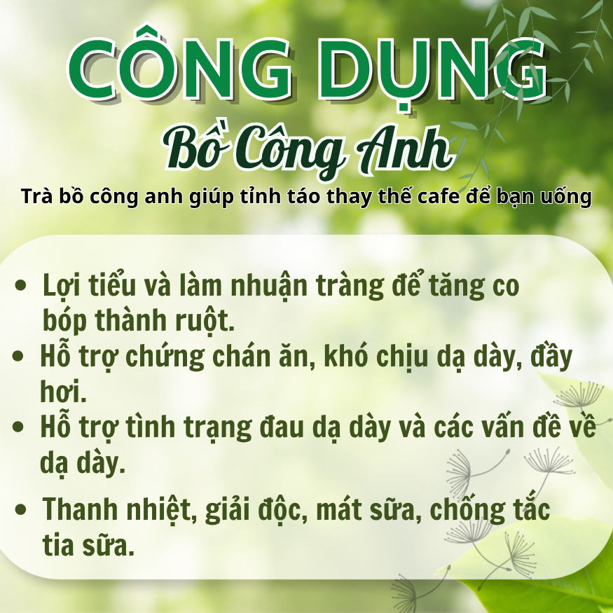 500g, 1kg Bồ Công Anh Loại 1 Đức Thiện (Khô, Sạch, Thơm) - Thanh Nhiệt, Giải Độc, Giảm Cân, Mát Sữa