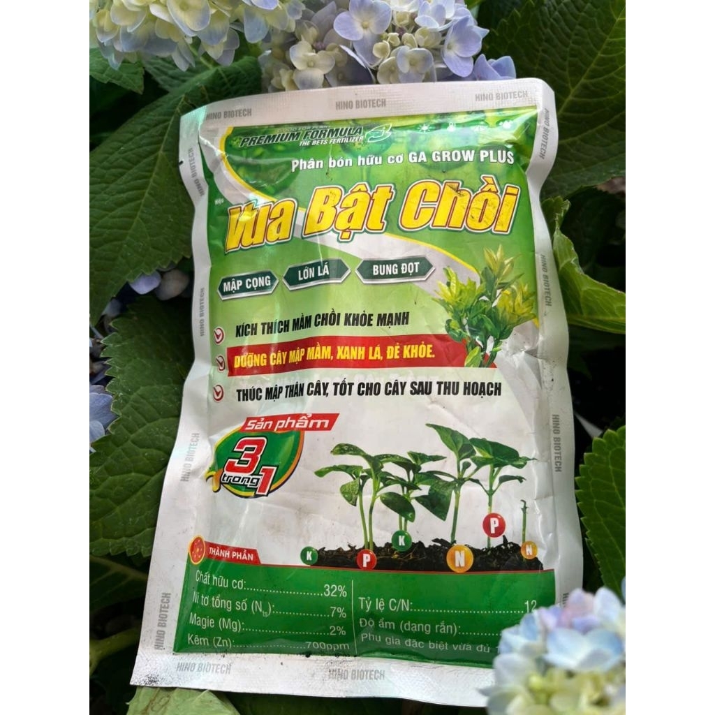Vua Bật chồi