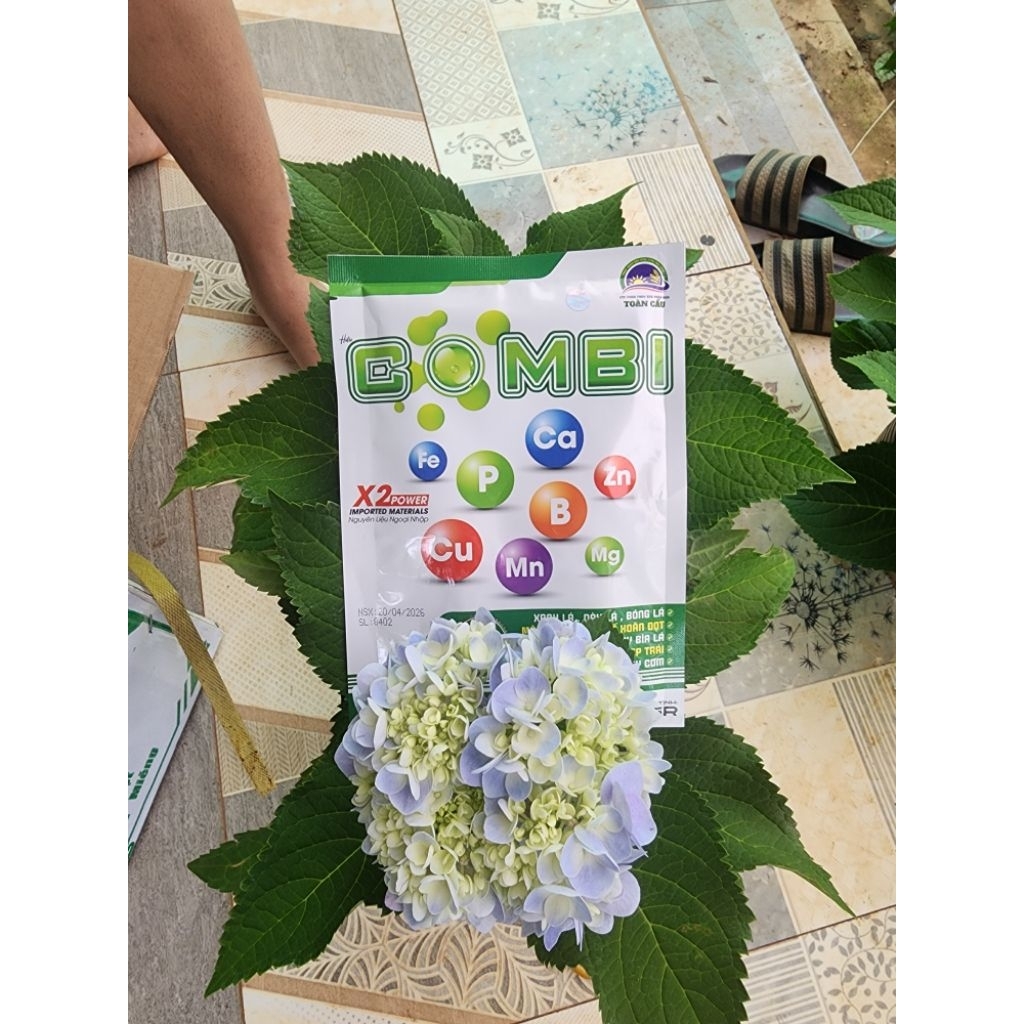 Trung Vi Lượng tổng hợp