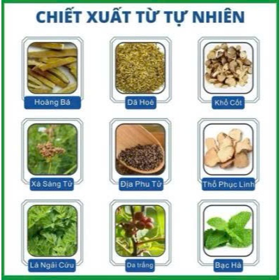 COMBO 2 Tuýp kem XÀ SÀNG TỬ chứa chiết xuất thảo dược, kháng khuẩn, kháng nấm, giảm ngứa Pacify