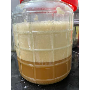 Mật ong lên men (500ml) đóng chai nhựa