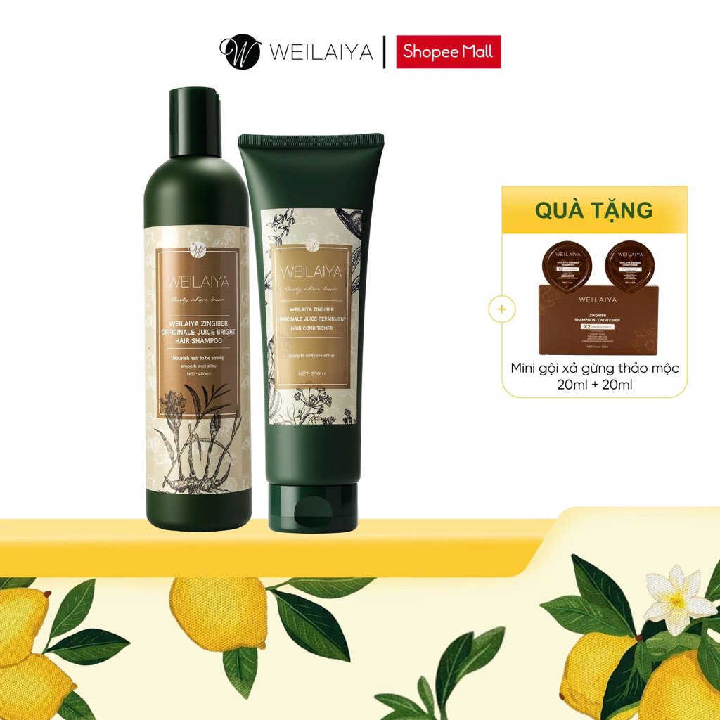 Cặp dầu gội xả tóc thảo dược Weilaiya gừng hà thủ ô giúp dưỡng đen, giảm rụng và hỗ trợ mọc tóc dành cho da đầu thường