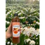 Mật ong nguyên chất (hoa cà phê) 500 ml.