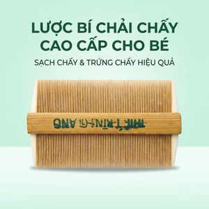 Lược bí chải chấy cho bé lược bí tre tự nhiên chải sạch trứng chấy và gàu
