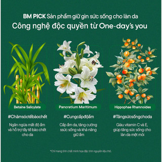 One day's you - Combo 4 Toner Pad Dùng thử - 10 Miếng mỗi loại tùy chọn | Clycos phân phối