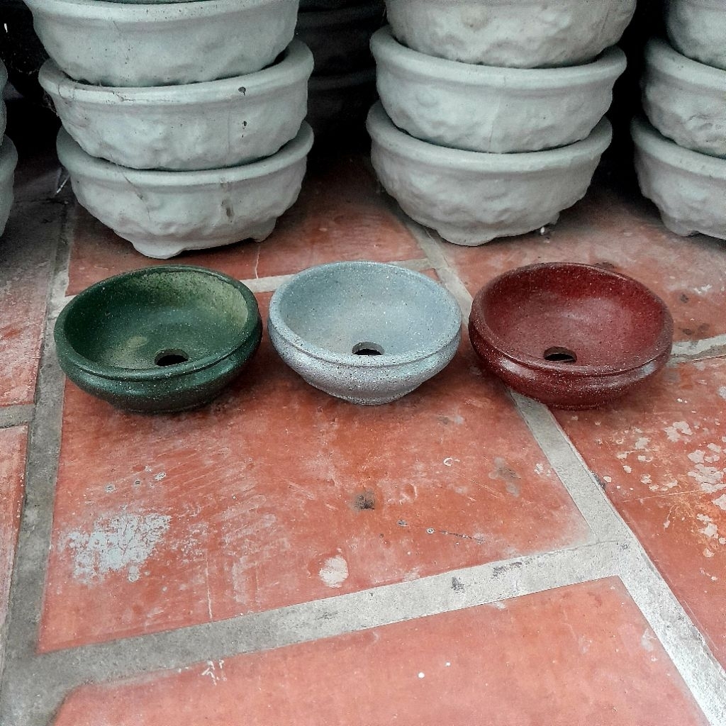 3 chậu trồng cây bonsai để bàn