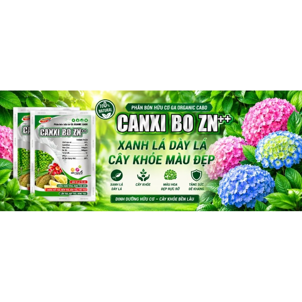 Canxi bo kẽm