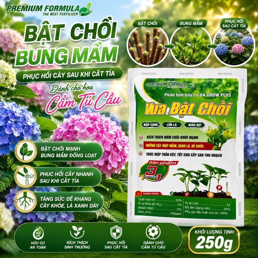 Vua Bật chồi