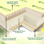 [MUA 1 TẶNG 7] Nệm Foam Massage Việt Thành Nguyên Tấm, Nâng Đỡ Cơ Thể, Đàn Hồi, Êm Ái, Hỗ Trợ Xương Khớp Tốt. — ảnh 3