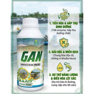 GAN 247 (650ml)– CHUYÊN XỬ LÝ TEO GAN, TRỐNG RUỘT